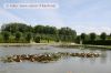 bayreuth_schloss-01.jpg