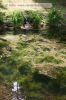 bayreuth_schloss-57.jpg
