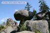 felsenlabyrinth-38.jpg