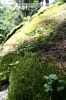 felsenlabyrinth-56.jpg