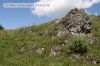 Dateiname=fraenkische_schweiz-20.jpg
Dateigröße=79KB
Abmessungen: 400x267
hinzugefügt am: 23. Juli 2011 fraenkische_schweiz-20.jpg