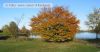 Dateiname=natur-001-012.jpg
Dateigröße=29KB
Abmessungen: 400x209
hinzugefügt am: 16. November 2010 natur-001-012.jpg