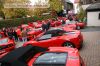 Filename=ferrari_day-022.jpg
Filesize=89KiB
Dimensions=400x267
Date added=Oct 04, 2009 ferrari_day-022.jpg