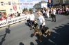 Dateiname=volksfest-014.jpg
Dateigröße=74KB
Abmessungen: 400x266
hinzugefügt am: 27. Juli 2007 volksfest-014.jpg