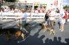 volksfest-054.jpg