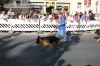 volksfest-062.jpg